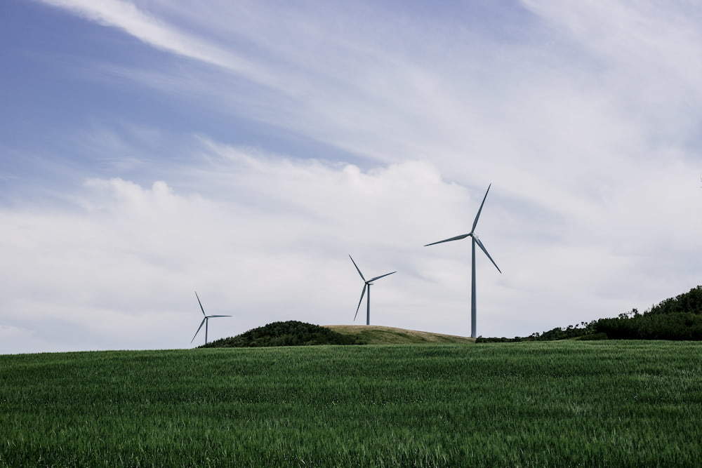 Three windmills on green field, e-Surgery environmental policy