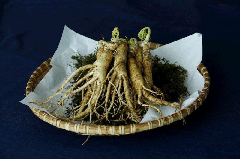 Ginseng root, in a wooden bowl on a dark navy table cloth | Top 5 Natural ED Treatments | e-Surgery