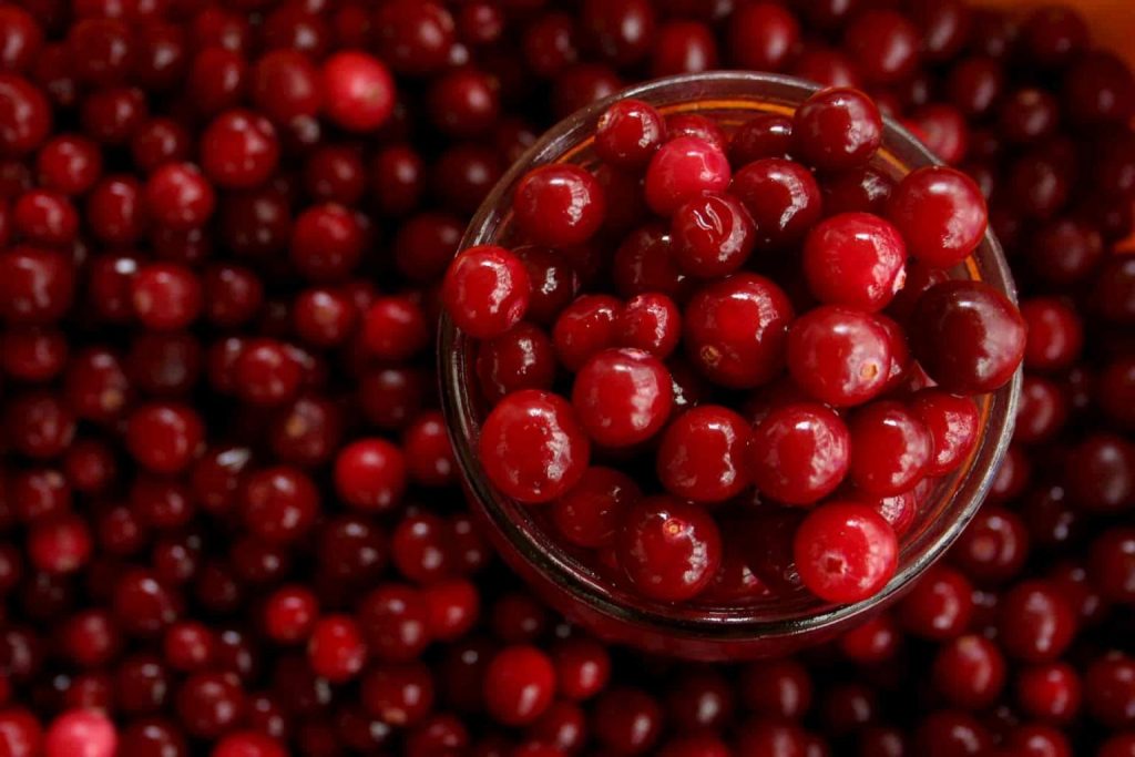 Glass cup filled with red cranberries, cranberry juice can help to get rid of a UTI, e-Surgery
