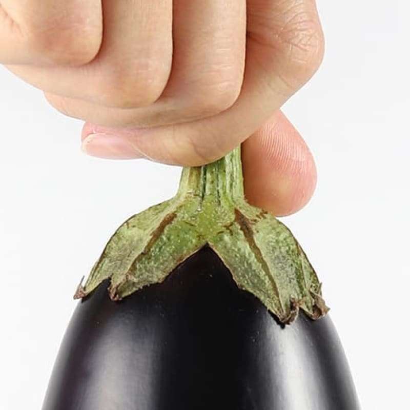 Priapism, male holding a large bulbous egg plant by its stem | e-Surgery