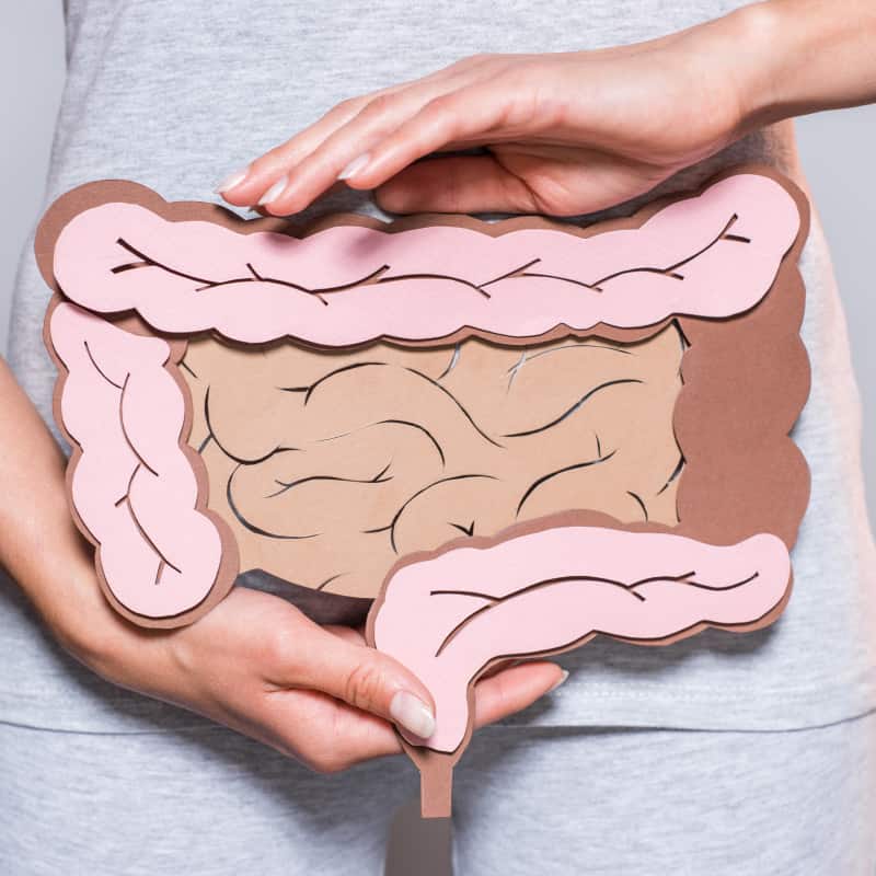 Gut made from paper, woman holding it in front of her stomach | e-Surgery