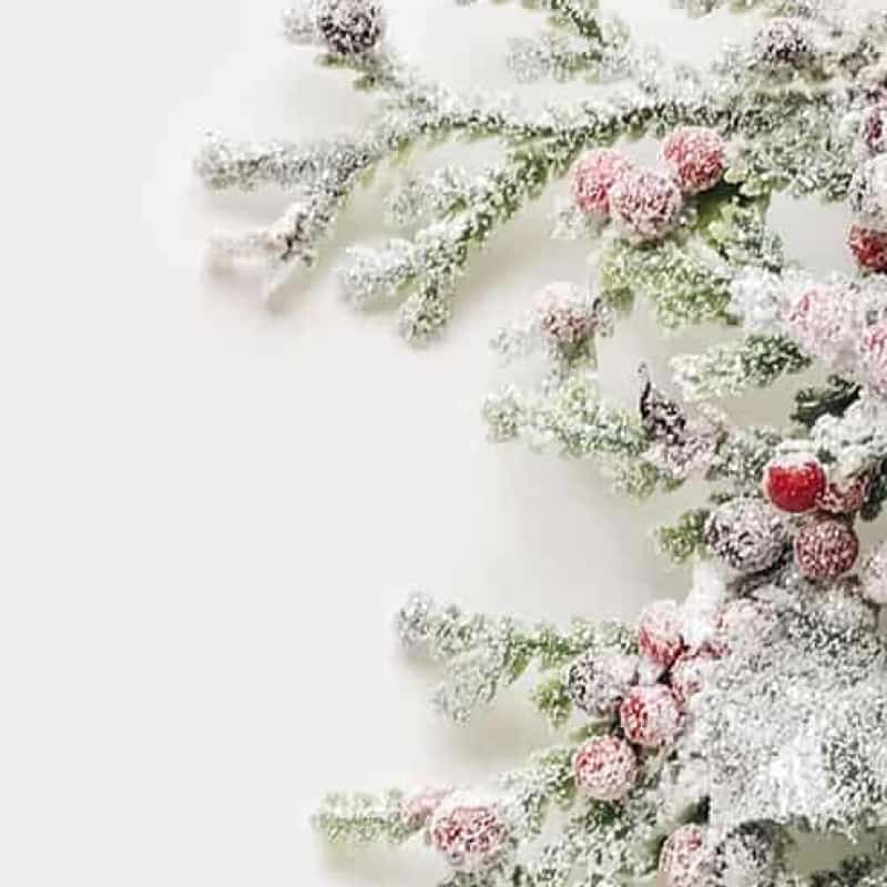 Christmas wreath with mistletoe and snow, how to have a healthy sustainable Christmas e-Surgery