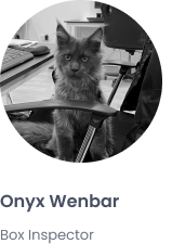 join our team e-surgery Box Inspector Onyx Wenbar